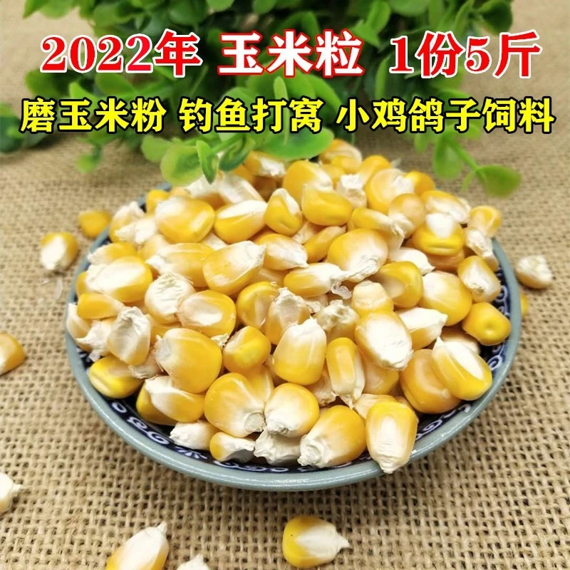 玉米粒5斤农家优质干玉米粒普通玉米粒玉米籽苞谷米老玉米粒包邮