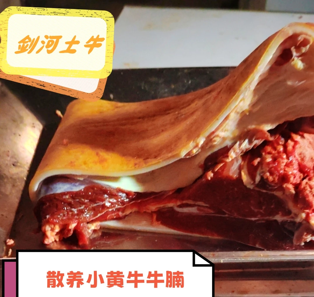 【带骨牛腩】贵州农家散养小黄牛带骨牛腩现下现切