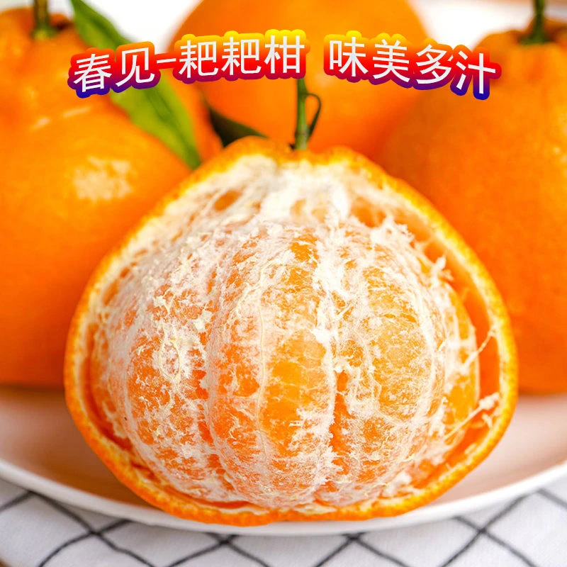 甄选四川春见耙耙柑正宗柑橘新鲜当季水果整箱薄皮橙非丑橘2斤5斤