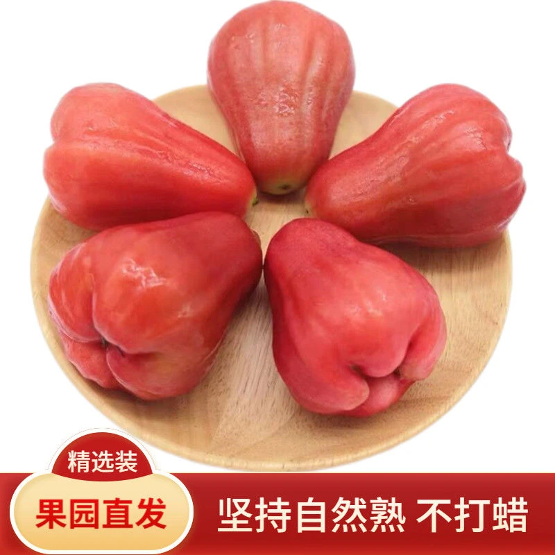 正宗海南莲雾红宝石当季热带黑金刚新鲜水果黑珍珠孕妇整箱1斤