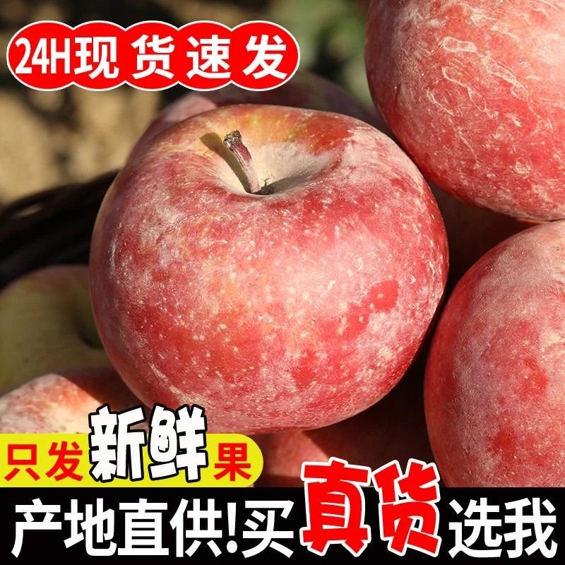 【正宗】新疆阿克苏冰糖心苹果水果新鲜当季红富士丑苹果纯甜3斤起