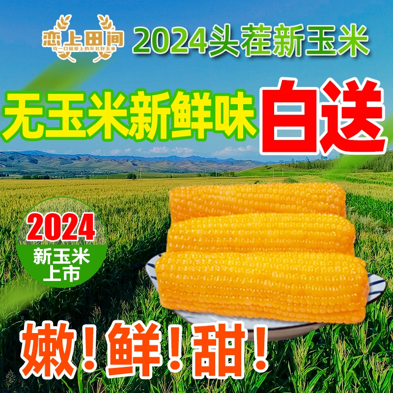 【试吃2根坏缺重包赔】2024正宗东北五常黄糯白糯玉米-鲜嫩真空包装