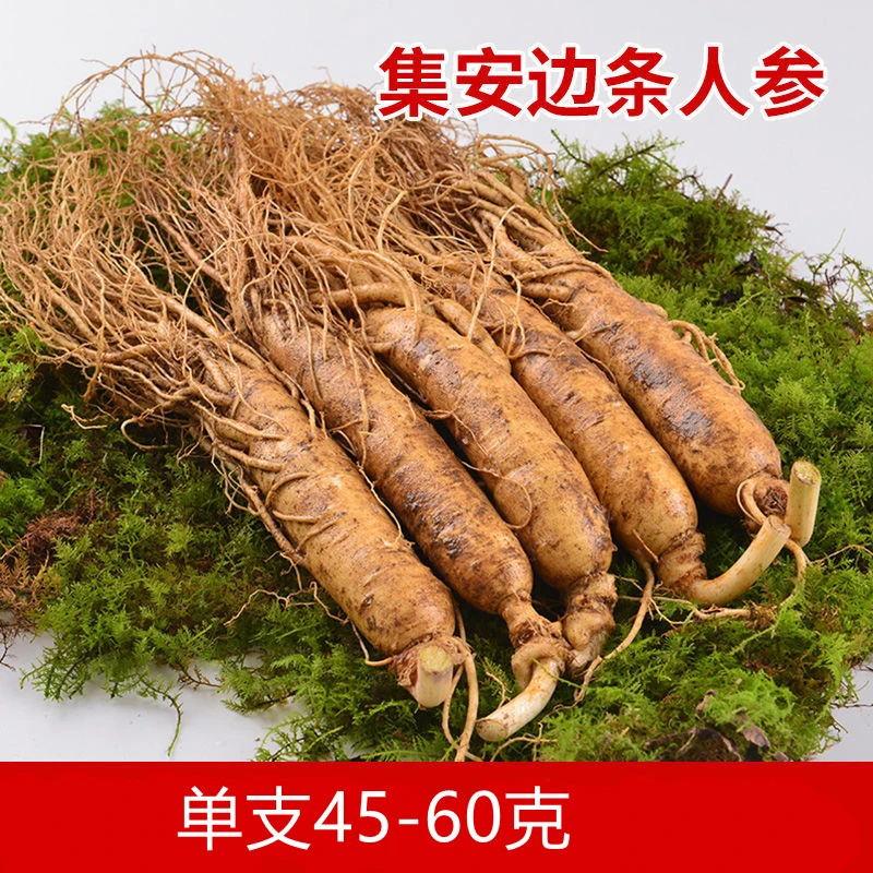 单支40-65克5支包邮长白山优质新鲜人参煲汤泡酒滋补养生东北特产
