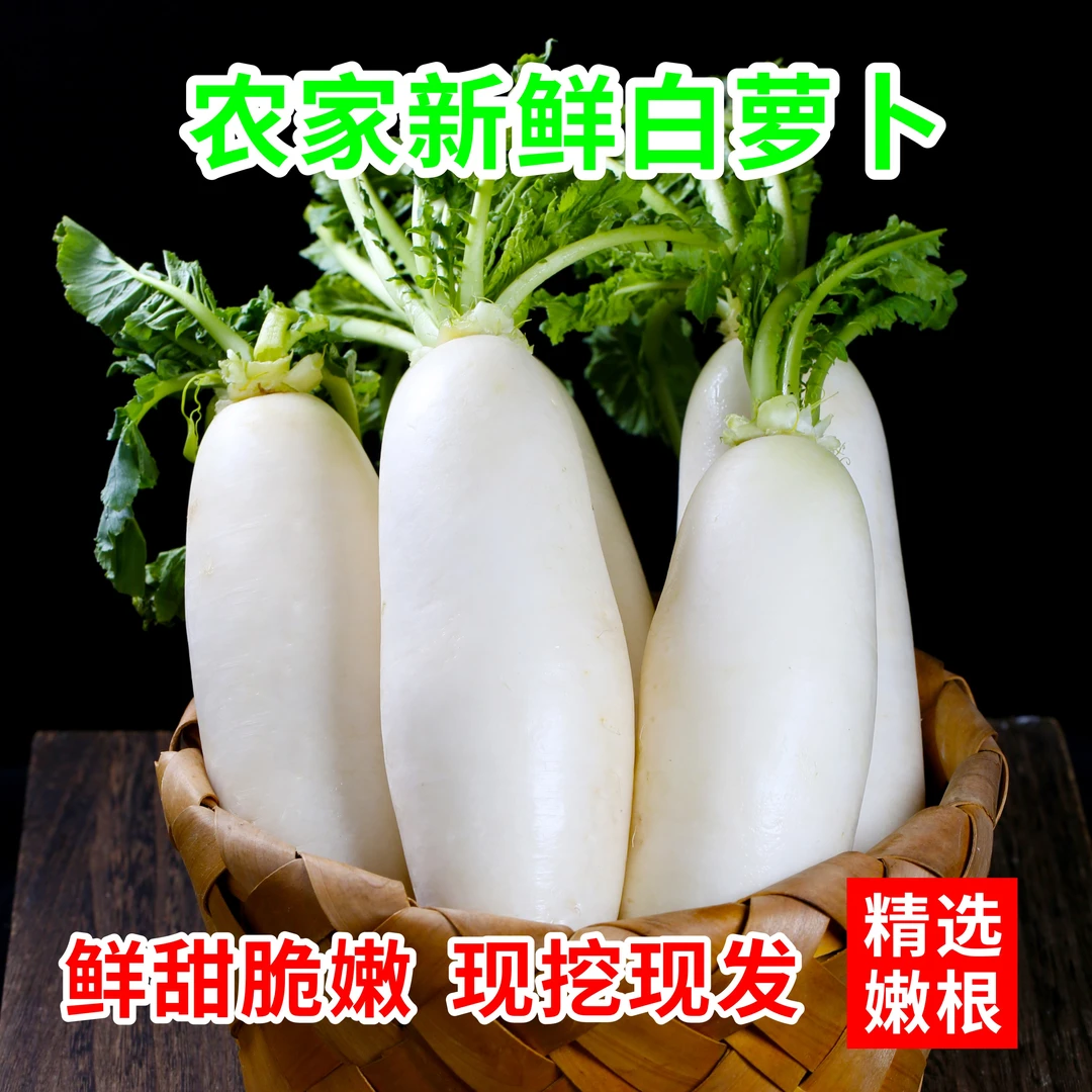 白萝卜新鲜蔬菜水果应季农家自种长阳高山现摘现发火锅泡菜大萝卜