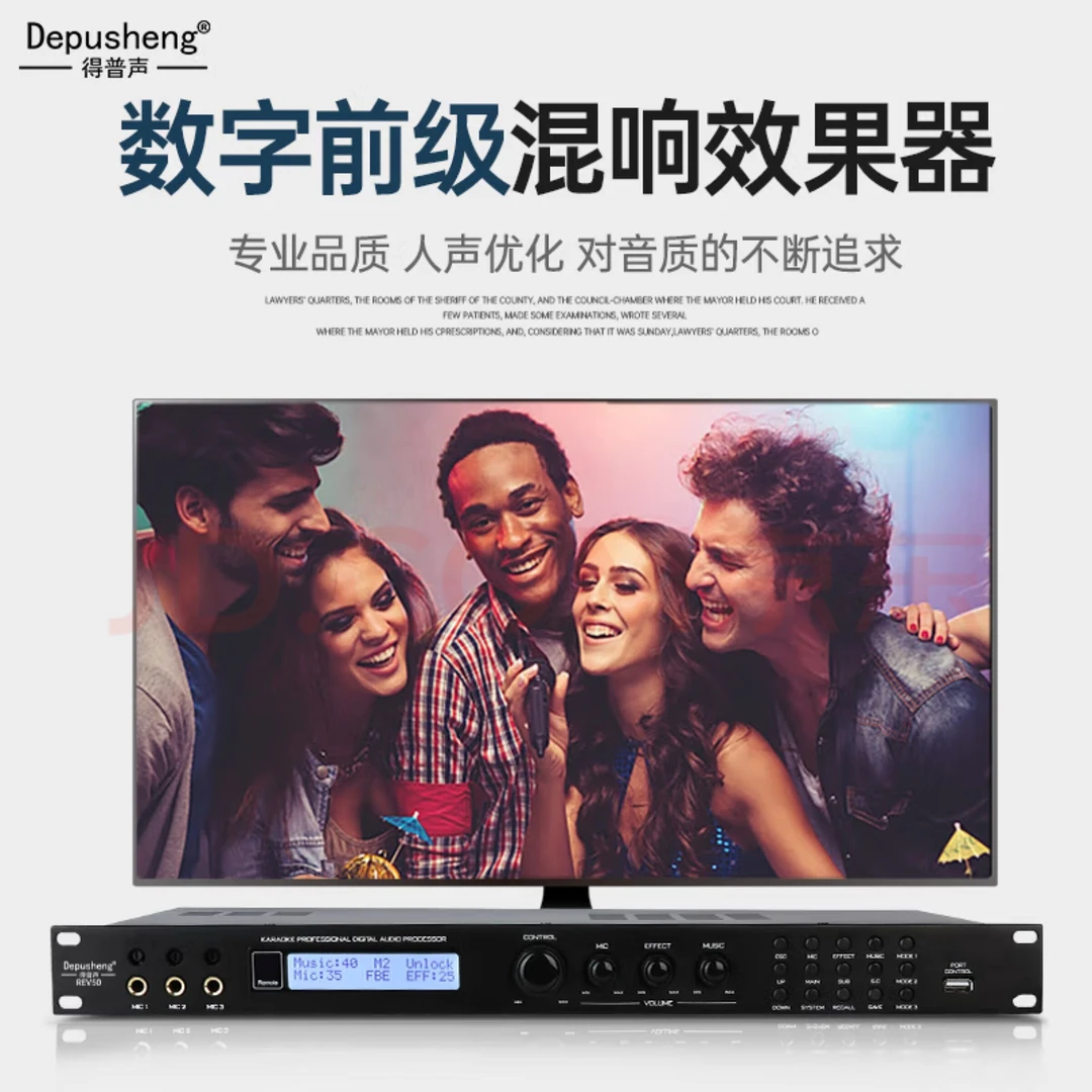 DEPUSHENG唱歌前级效果器麦克风专业防啸叫人声数字话筒舞台REV50