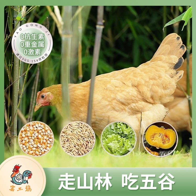 【窑工小母鸡】浮梁散养景黄土鸡新鲜宝宝长身体营养鲜嫩散养小母鸡