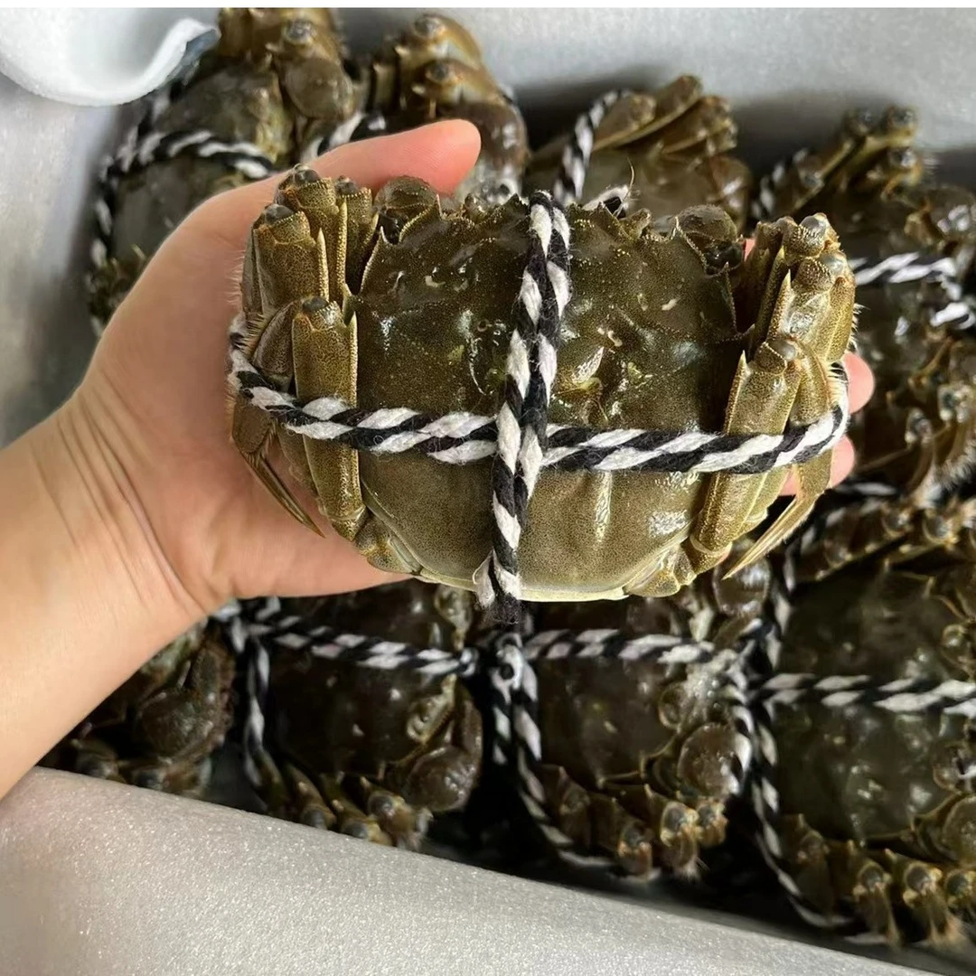 【母蟹3.5两+公蟹4两】固城湖大闸蟹  吃大闸蟹的时候到了噢