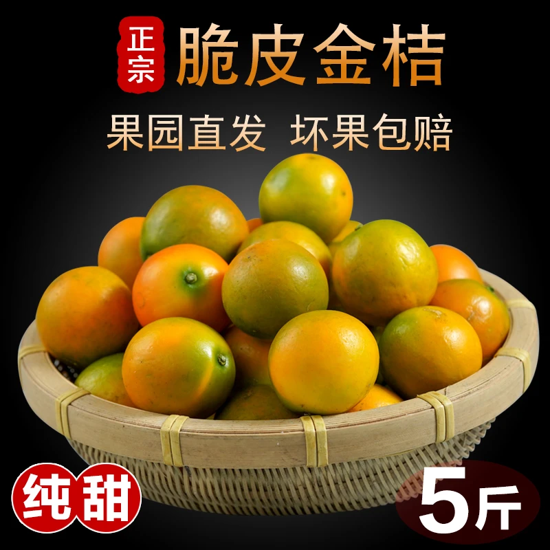 桂林阳朔脆皮金桔滑皮金桔2斤3斤5斤 新鲜采摘现货现发很甜