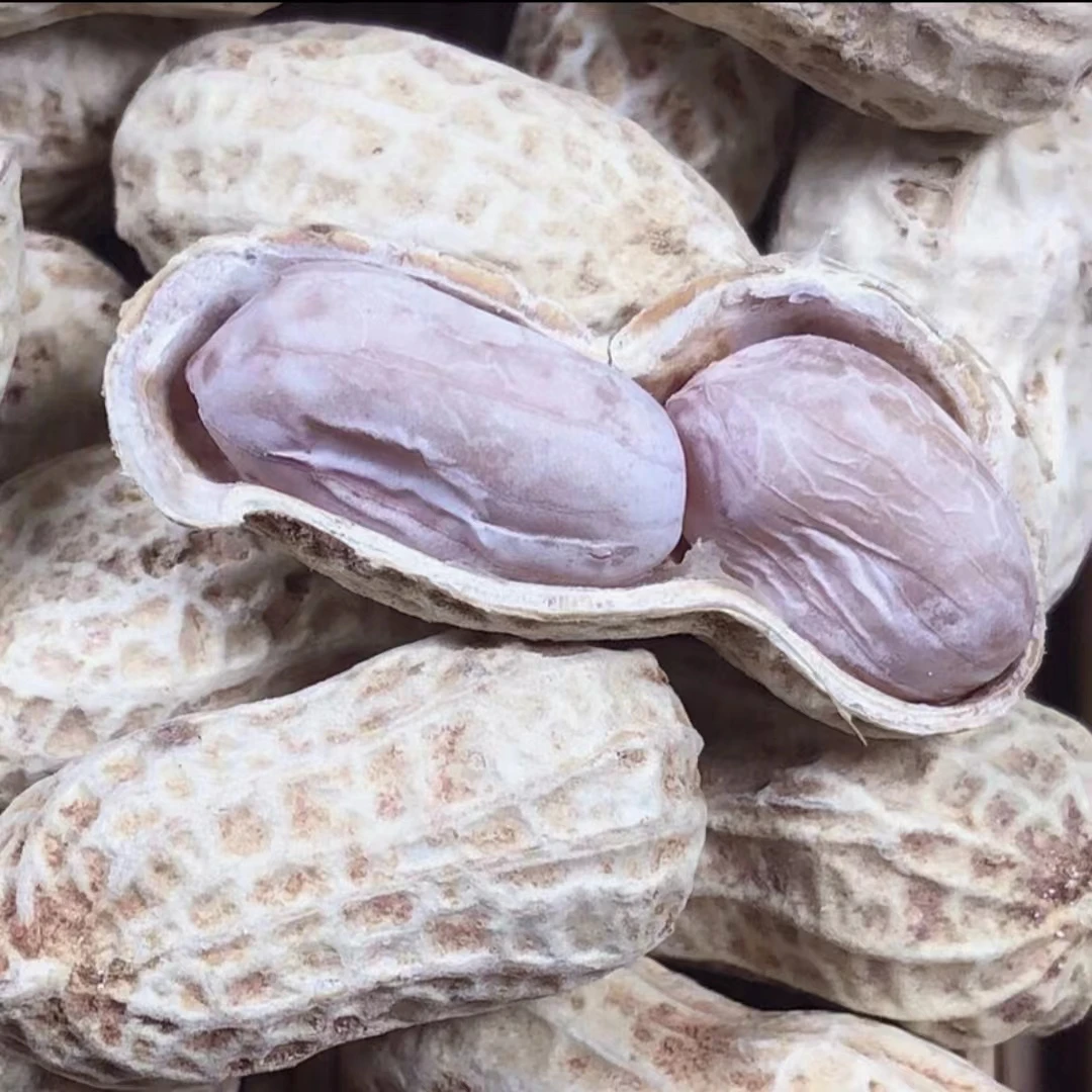 24年新龙岩花生水煮白晒咸干蒜香五香咸酥紫衣湿烤带壳熟花生零食