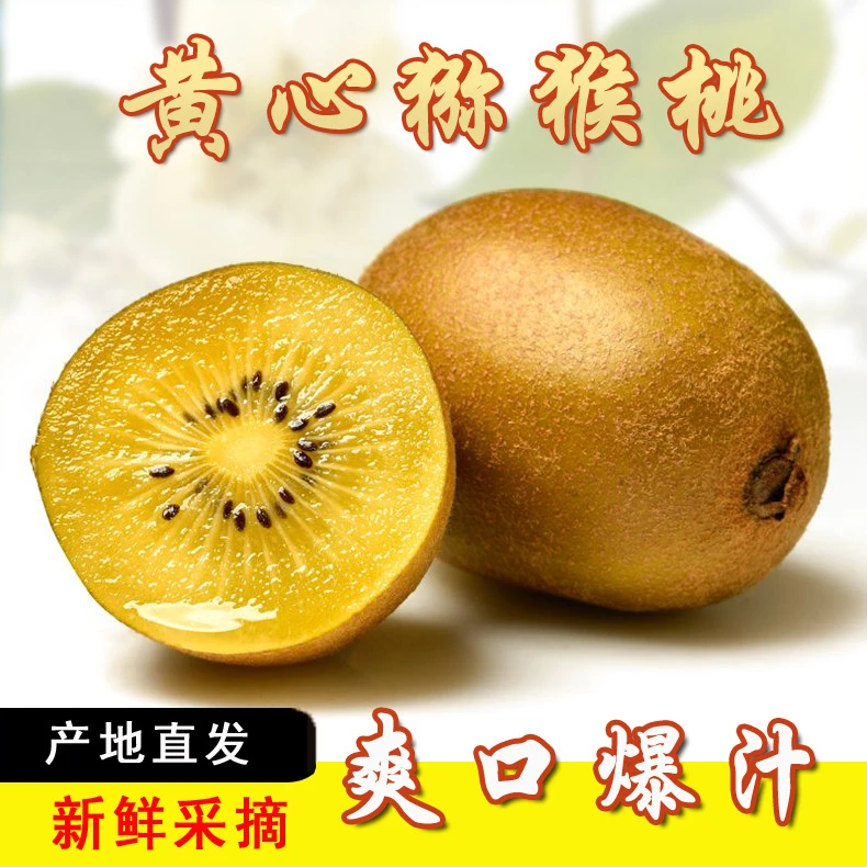 黄心猕猴桃新鲜水果直发当季整箱奇异果超甜产地包邮直发