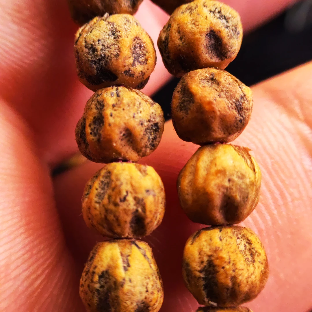 《卓灵出品》元➕系列红油皮鬼脸百香籽，尺寸6.5➕，油性皮质到顶