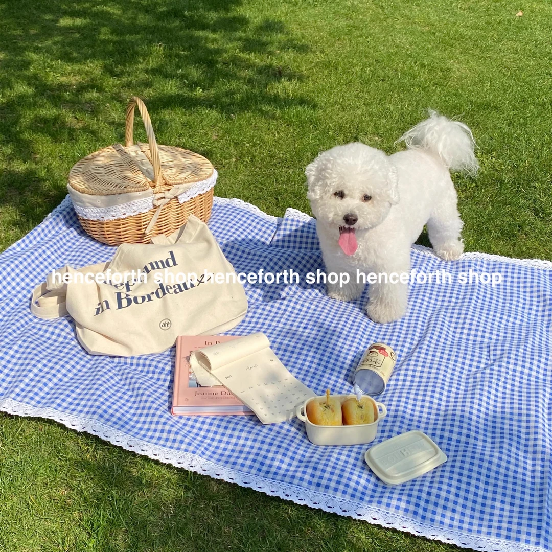 野餐布棉麻桌布拍照背景布书桌ins少女心郊游春游户外地垫野餐垫