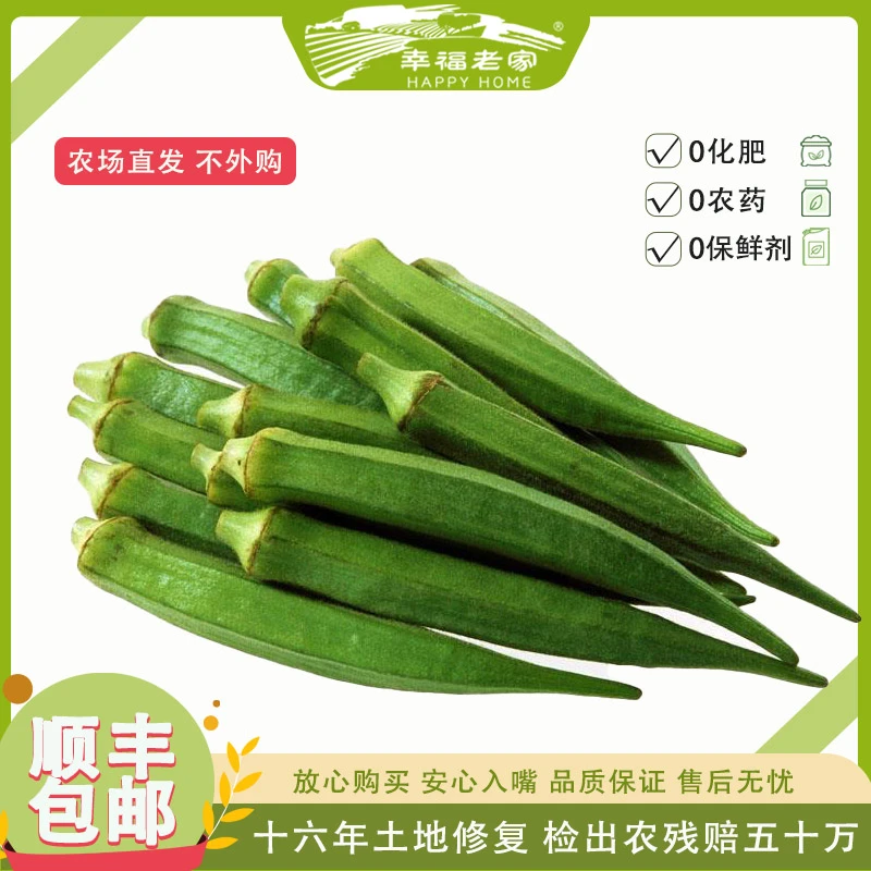 幸福老家黄秋葵4斤 滑润爽口 新鲜采摘 农场直发 零农药零化肥