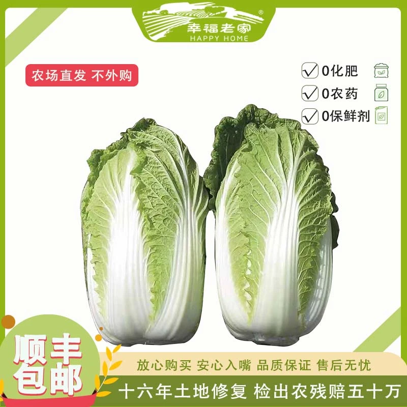 幸福老家百财祝福有机大白菜2棵 味道鲜美  农场直发零农药零化肥