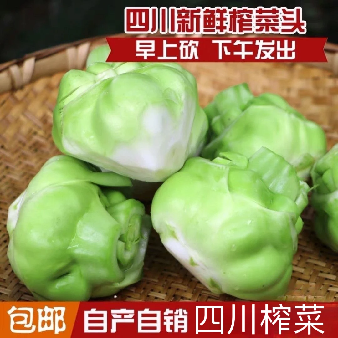 新鲜榨菜头四川特产榨菜头农家新鲜可做腌制咸菜食材