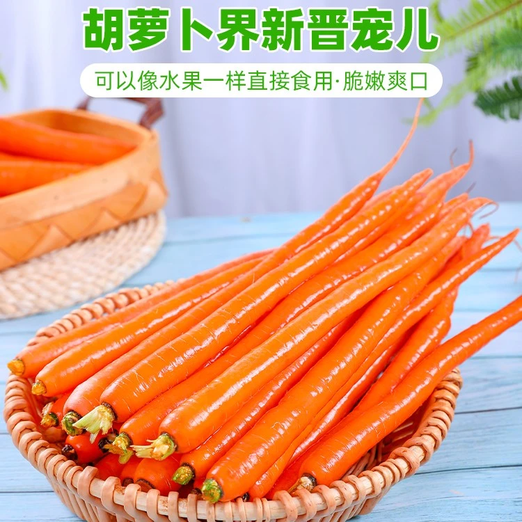 手指胡萝卜新鲜1-5斤胡萝卜迷你小红人参萝卜即食西餐水果蔬菜
