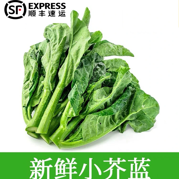 【顺丰包邮】中花芥兰新鲜广东芥兰菜心蔬菜白灼甜芥兰苗仔