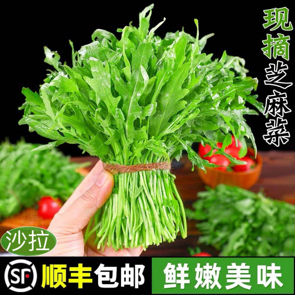 【顺丰包邮】芝麻菜新鲜芝麻叶沙拉蔬菜食材轻食西餐生菜现摘芝麻菜