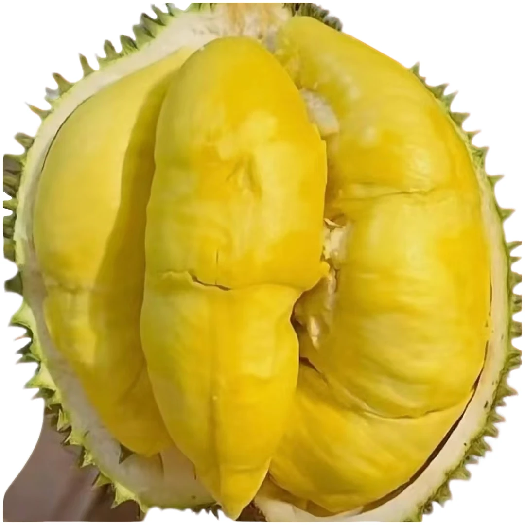 【泰国金枕AA王中王】树熟金枕榴莲，假一赔十！甜得批爆 99元1斤纯肉