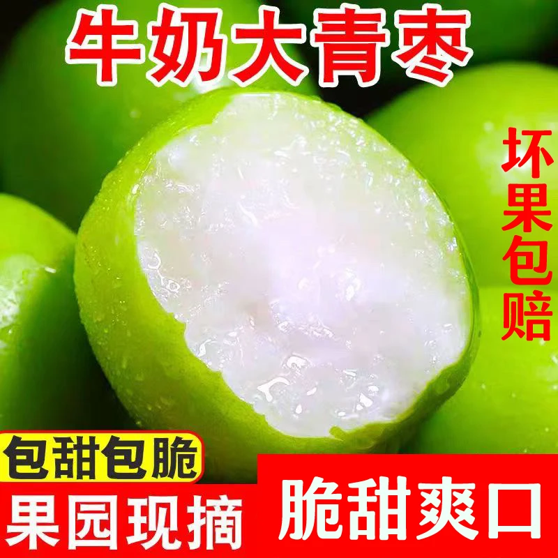 【顺丰 现摘现发】广西牛奶大青枣蜜丝枣果园新鲜水果枣子爽口2/5斤