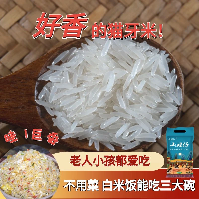 山瑶仔2025广西瑶山猫牙米长粒香软糯清香传统农家2.5kg5kg新稻米