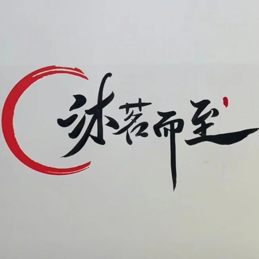 沐茗而至：福鼎白茶臻宝2盒