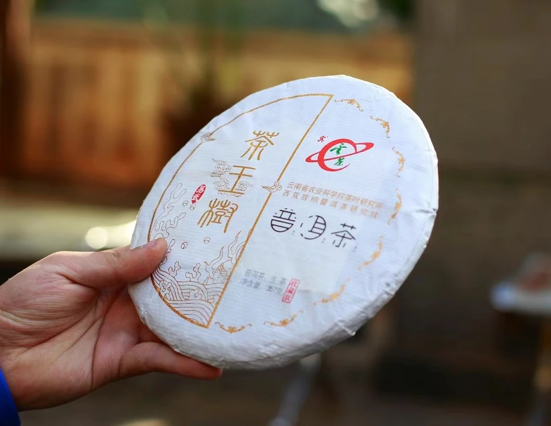 沐茗严选:【云茶】云南普洱茶2021年【易武~茶王树】357克生茶