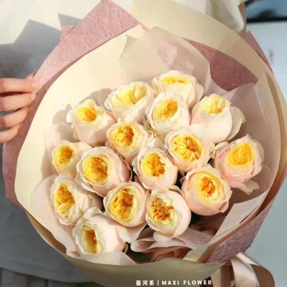 爱必达品牌特蕾莎10枝，稀有玫瑰——2度以下必拍保温棉