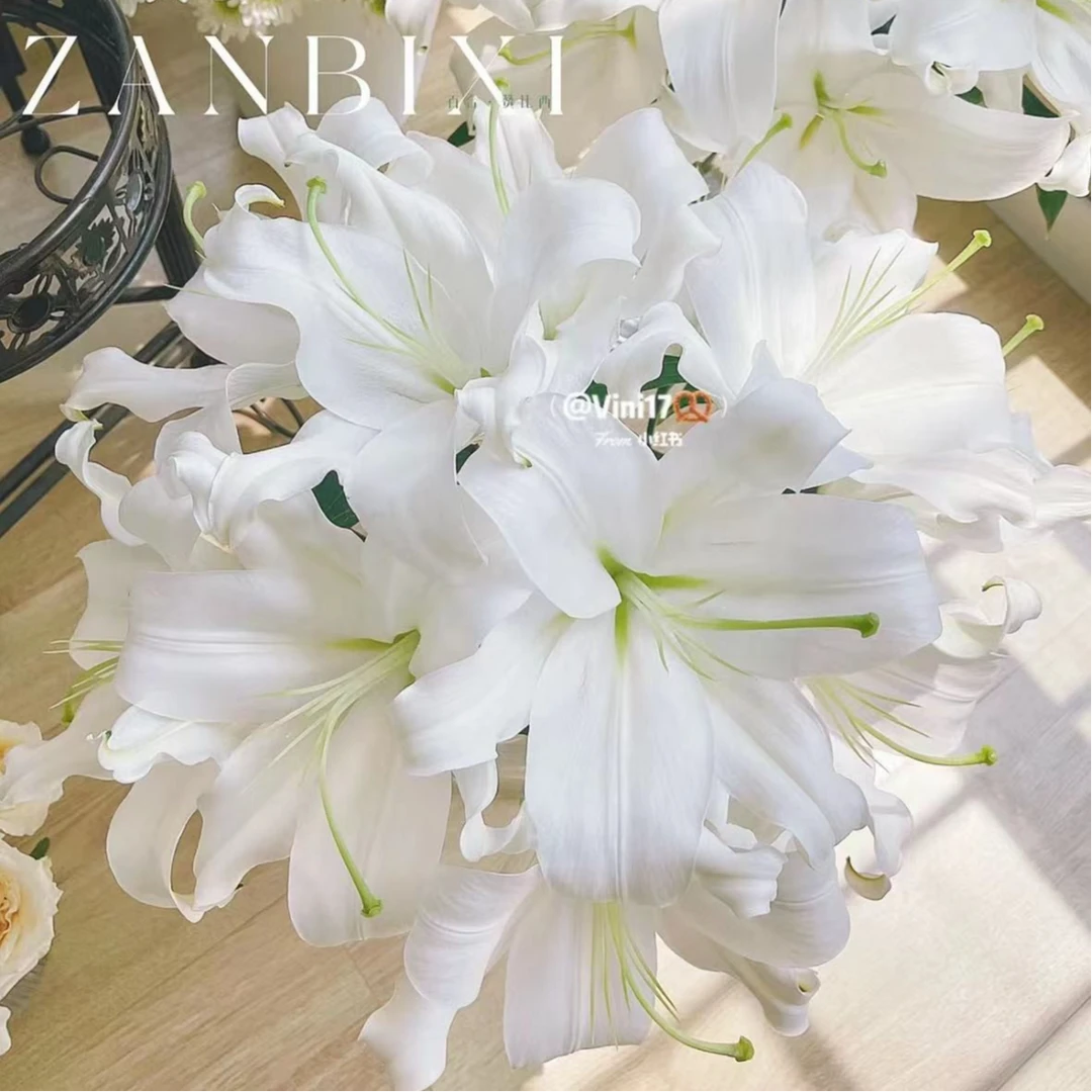 【云舟鲜花】赞比西白色香水百合多头3枝，（共12个花苞以）（包邮）