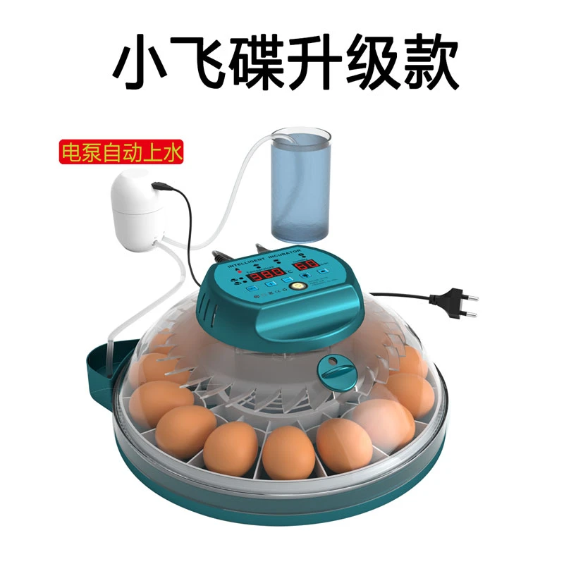 新伟达升级小飞碟家用全自动智能芦丁鸡鸟蛋全自动孵化器