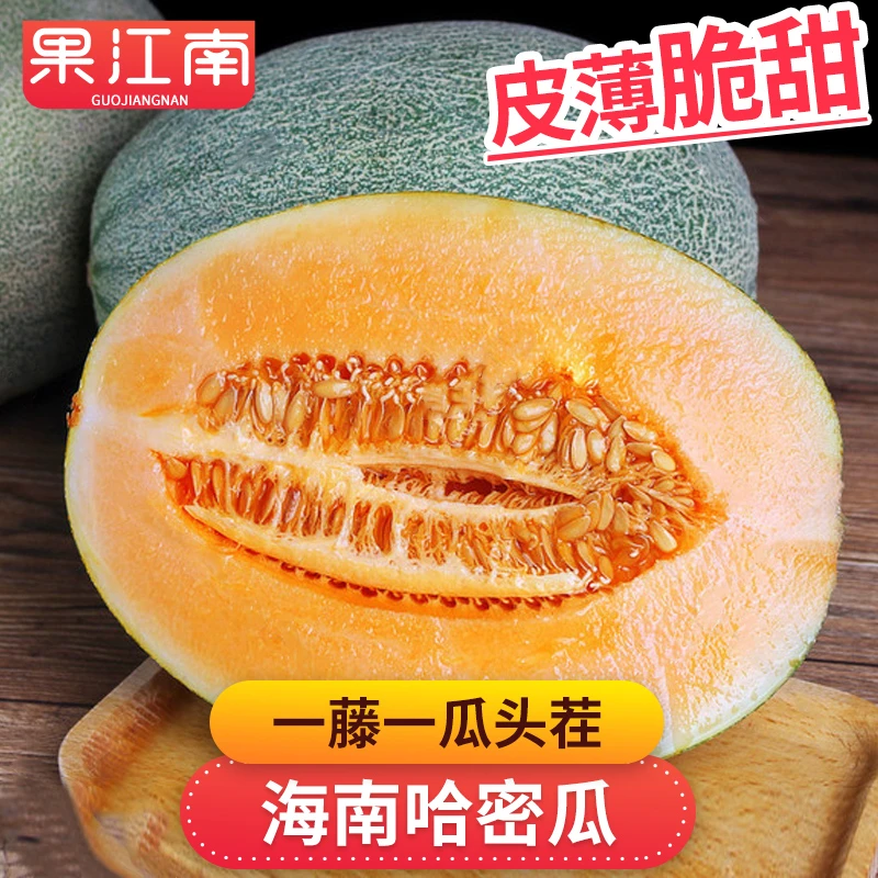 【果江南】海南晓蜜25哈密瓜5-7斤海沙地现摘一藤一瓜皮薄酥脆蜜甜