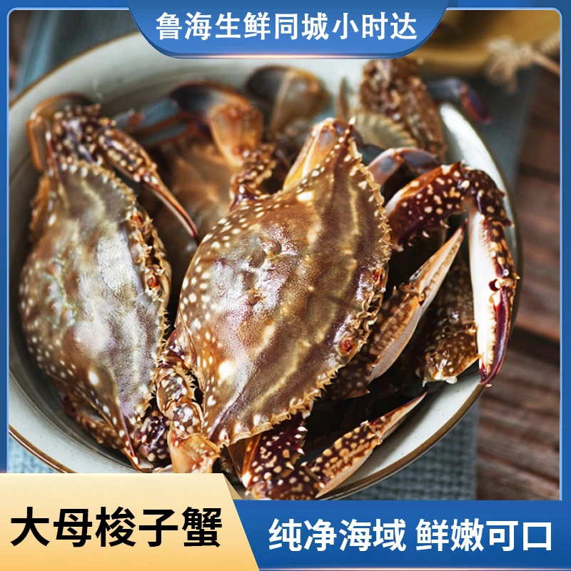 梭子蟹通货  保鲜不保活 有大有小有公有母