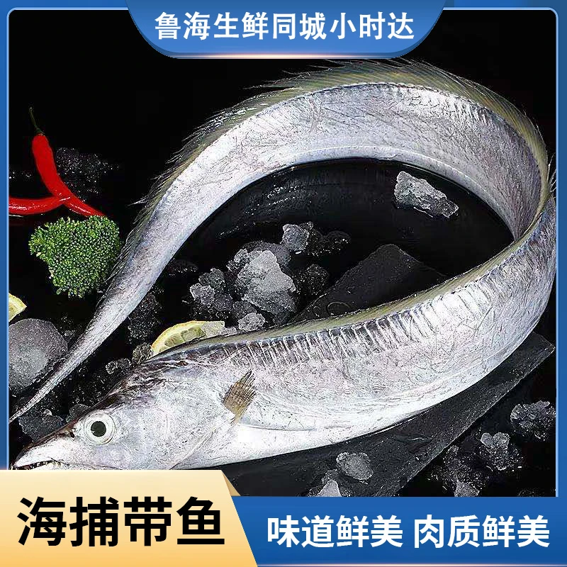 海捕鲜钓带 海捕新鲜带鱼肉质细腻肥美