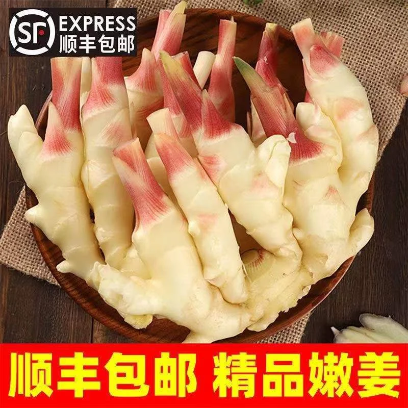 【顺丰包邮】红芽嫩姜新鲜仔姜紫姜芽生姜脆嫩可食用鲜姜