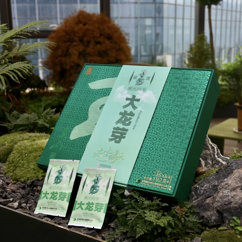 2025新茶 大龙芽精品礼盒120g/ 192g 头采绿茶特级滋味鲜爽 送礼