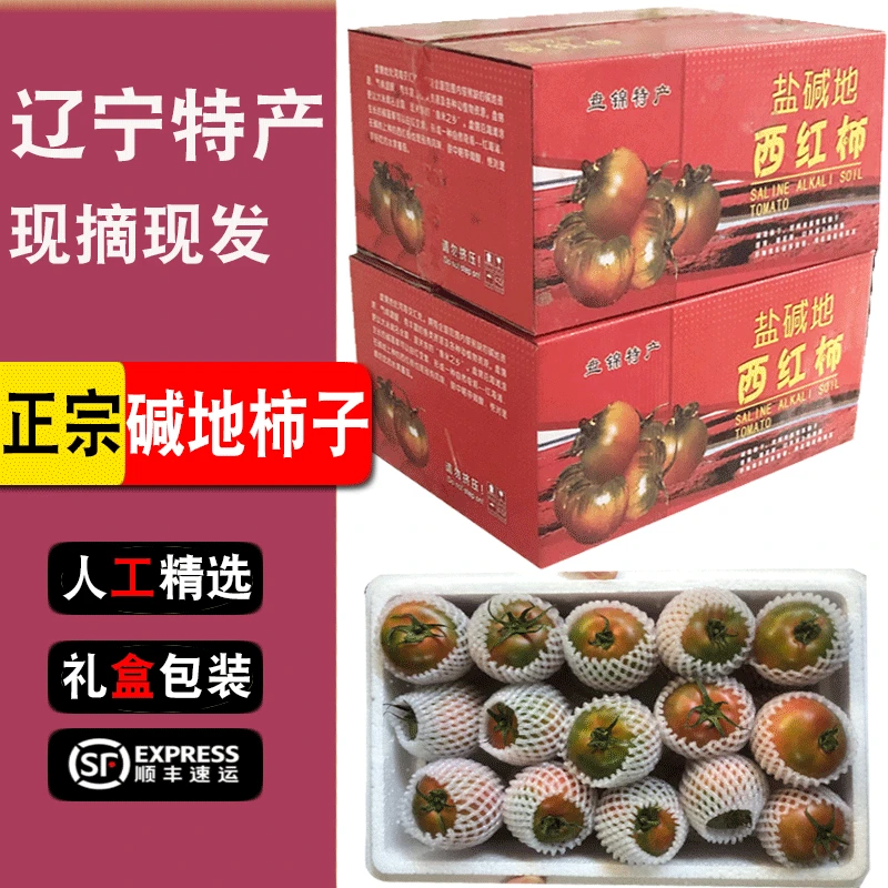 【精选/5斤中果】辽宁盘锦碱地柿子番茄西红柿铁皮柿子草莓柿子礼盒