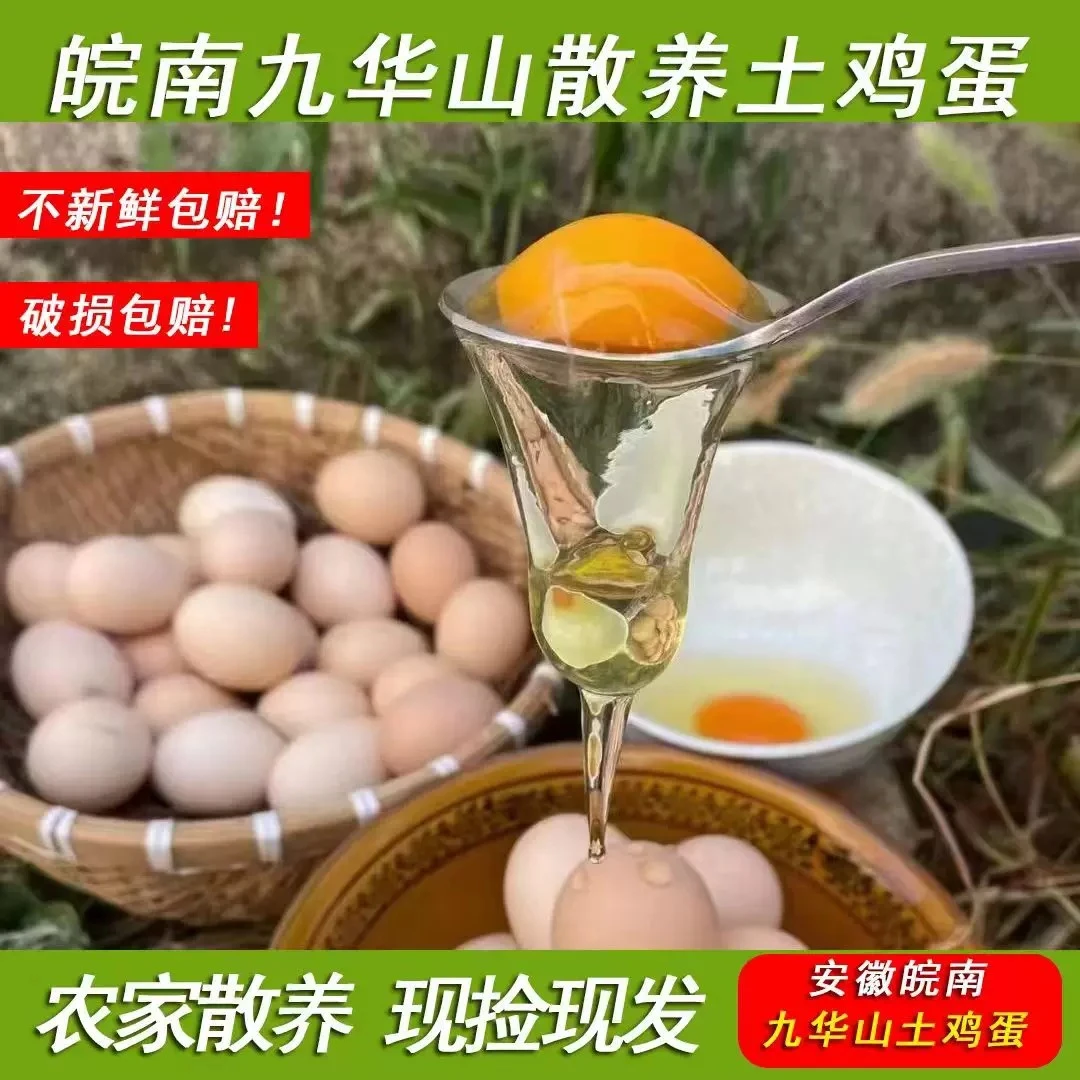 安徽皖南九华山土鸡蛋 山林散养 现捡现发『顺丰包邮』