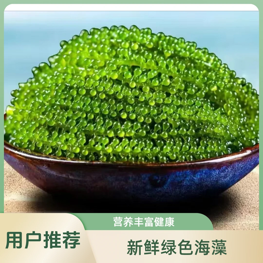 海葡萄水产干货海菜腌制海草好吃开袋即食海葡萄的正确吃法