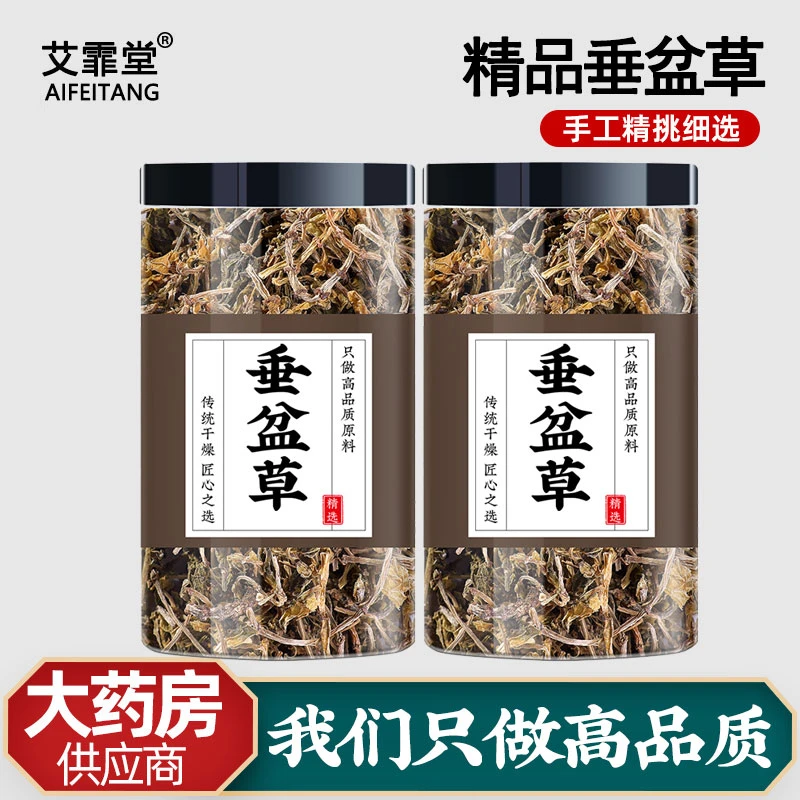 垂盆草中药材新鲜用干货护正品泡水喝的功效非野生垂盆草茶