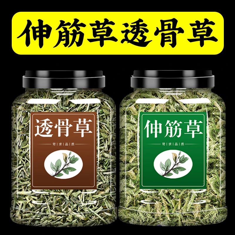 正宗伸筋草和透骨草中药材正品舒筋草筋骨草新货泡水泡茶喝的功效