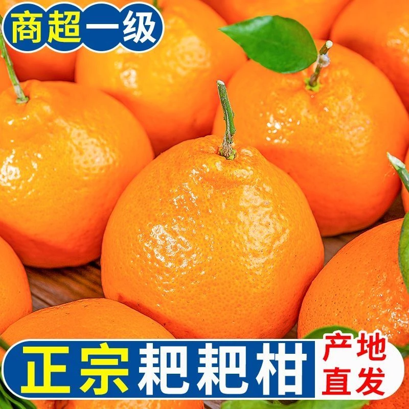 四川春见耙耙柑粑粑柑正宗水果新鲜整箱当季丑桔橘新鲜彩箱装包邮