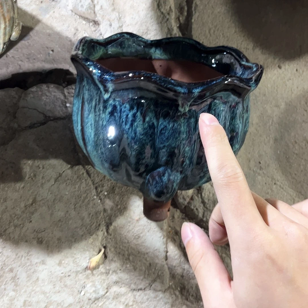 紫砂花盆花盆花开