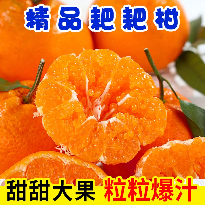 正宗四川春见耙耙柑橘子粑粑柑新鲜水果现摘2/5/8斤丑八怪桔子