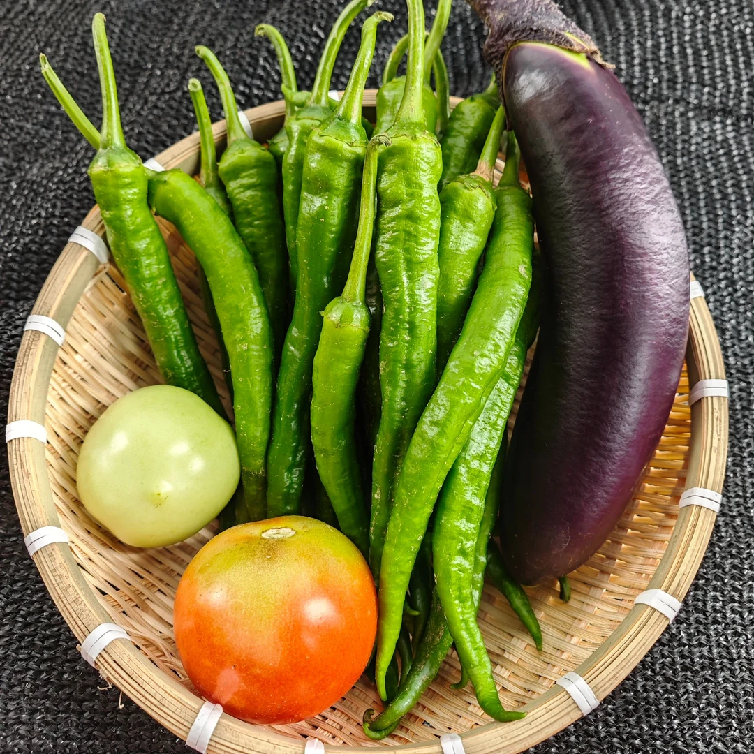 奶奶菜园里的小菜