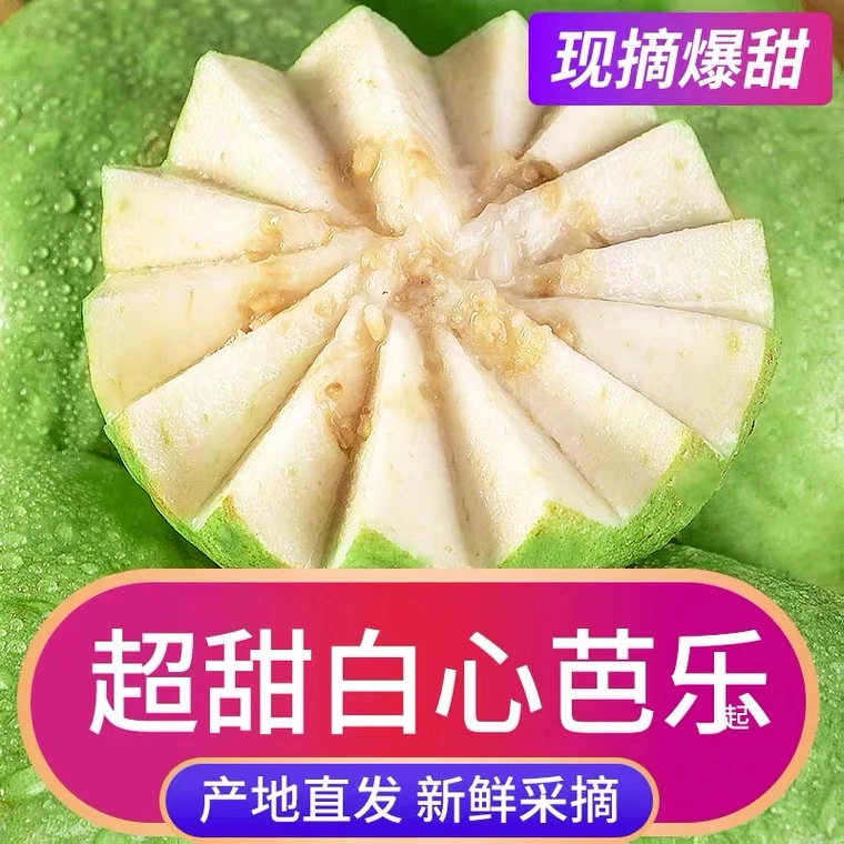 海南软心白心芭乐当季新鲜水果番石榴3-5斤香甜优选老人农产品