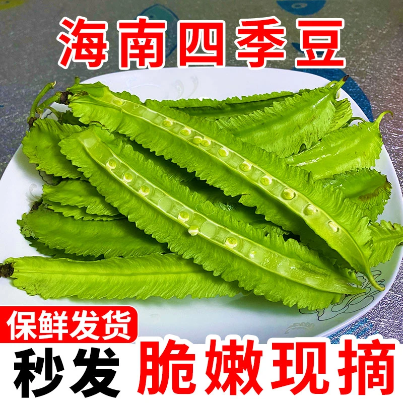 海南四角豆新鲜蔬菜脆嫩四棱豆龙角豆现净重1/4斤包邮自种农产品