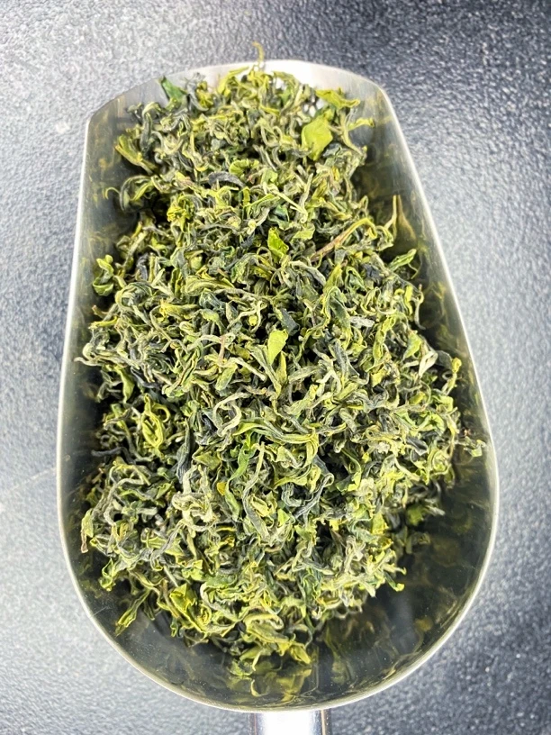 2025年日照绿茶五月上旬露天春茶浓香型