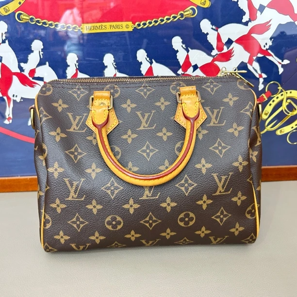 95新 LouisVuitton/路易威登 LV Speedy 25 25x19x15 编码7920811