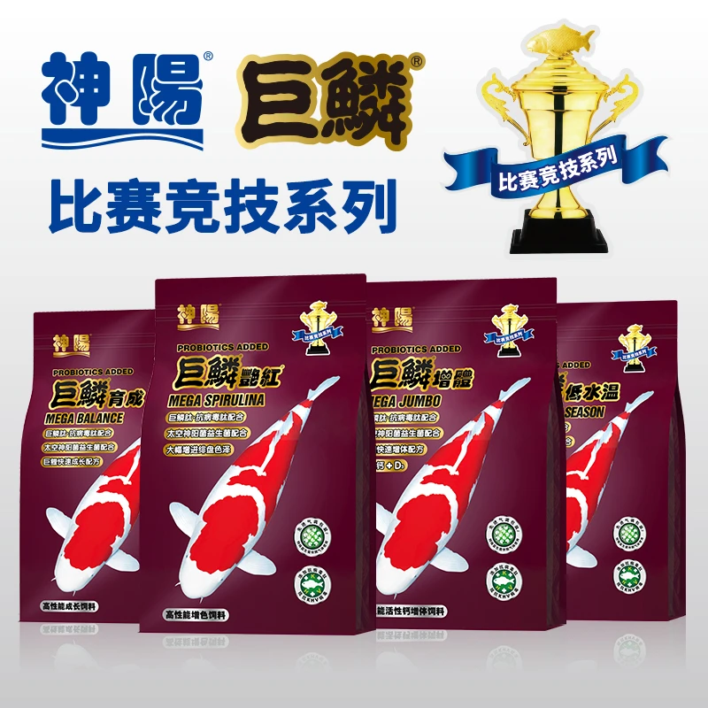 神阳巨鳞艳红锦鲤饲料比赛级锦鲤用鱼粮增体增色不浑水鱼食