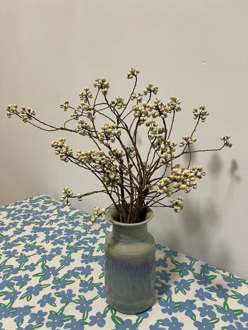 小白果乌桕果干花居家装饰禅意复古插花